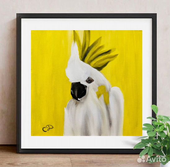 Картина Белый Попугай 30х30, масло, холст