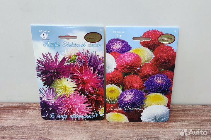 Семена Астра Каприс