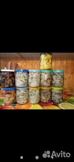 Продажа грибов