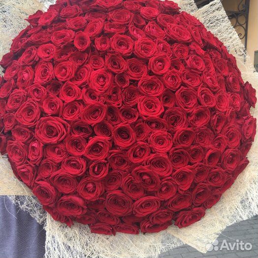 Красные розы 101 роза 51 роза 35 роз