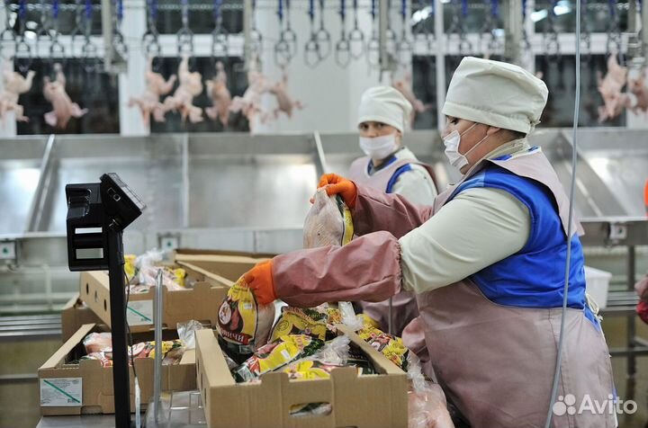 Оператор линии вахта проживание и питание