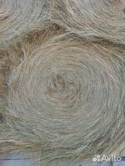 Сено в рулонах с доставкой