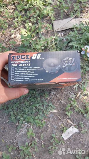 Динамики пищалки