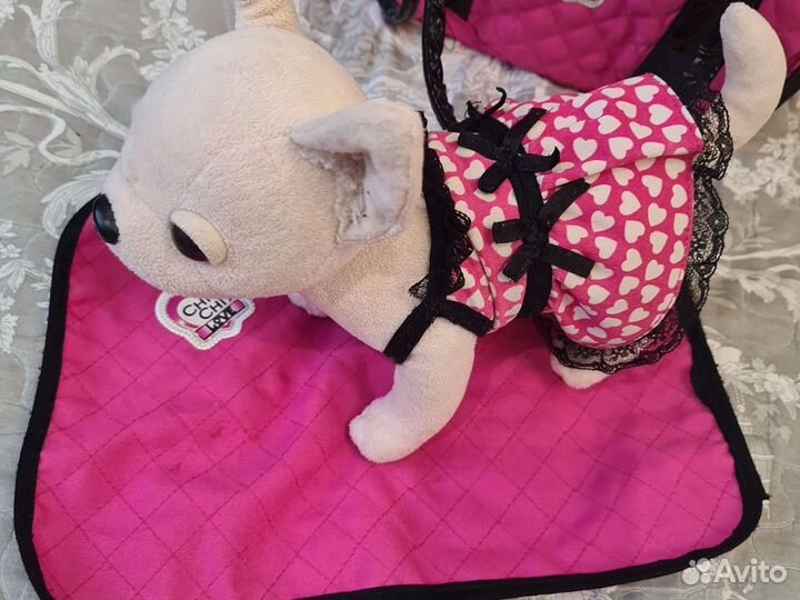 Собачка чичи лав chi chi love