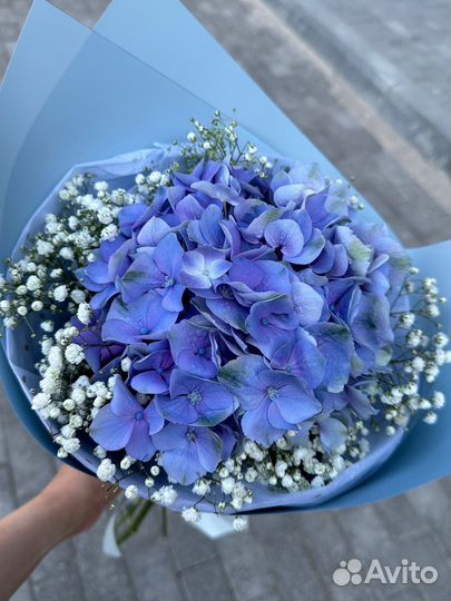 Нежный букет с гортензией и гипсофилой