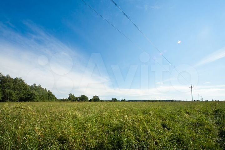 Участок 135 га (СНТ, ДНП)