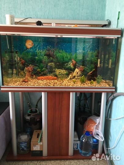 Аквариум 400л