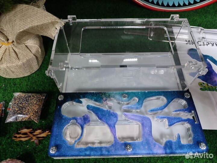 Муравьинная ферма