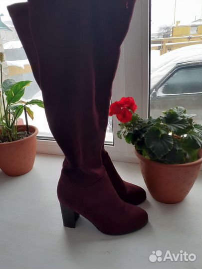 Сапоги чулки