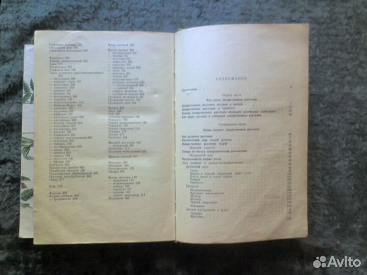 Растения целители