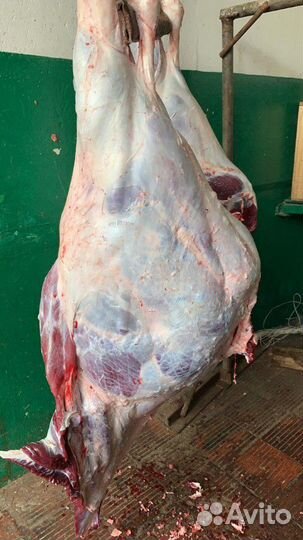 Мясо Говядины