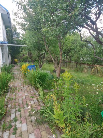 Коттедж 177 м² на участке 6 сот.