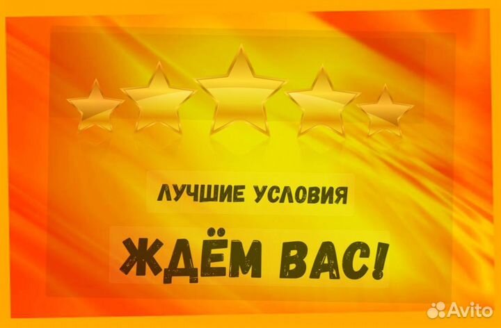 Наборщик заказов Без опыта Еженедельные выплаты