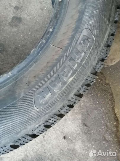 Tigar Ice 195/65 R15