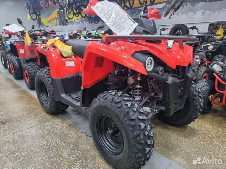 Квадроцикл promax renegade 300(красный)