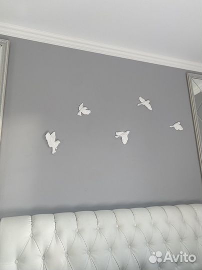 Декоративные птицы