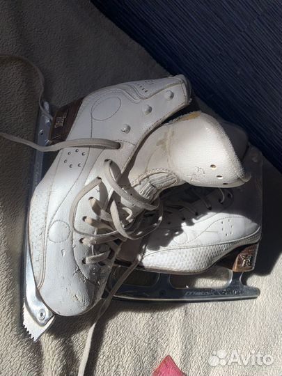 Коньки Risport Royal Elite 220