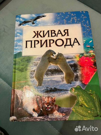 Энциклопедия Живая природа