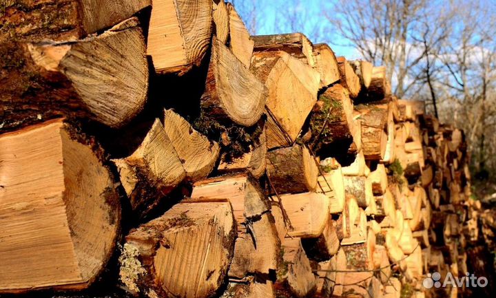 Дрова 35 см