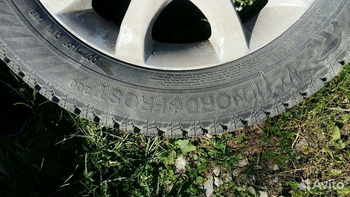 Gislaved Nord Frost 200 205/55 R16