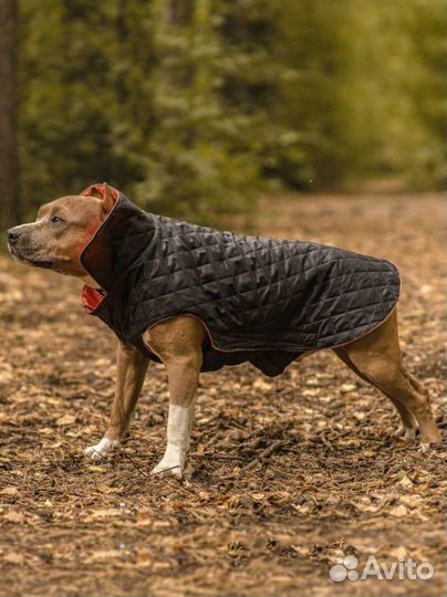 Попона для собак, куртка комбинезон