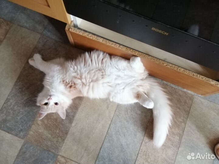 Ассоль-Ася, позитивная, ласковая