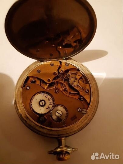 Часы Швейцарские Tegra