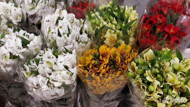 Букет цветы альстромерии