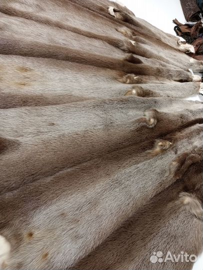 Натуральный мех выдры, шкруки