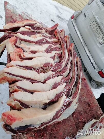 Продам мясо конина