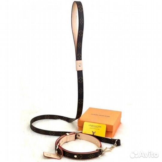 Ошейник и поводок для собак LV