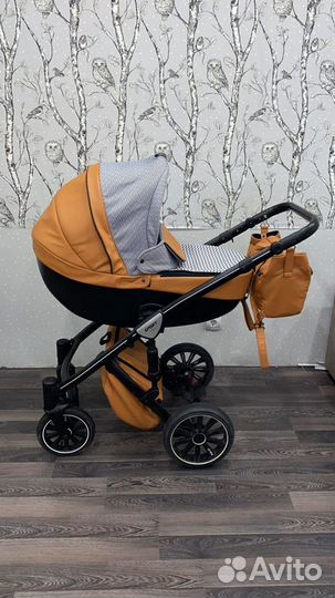 Коляска Anex sport 2 в 1