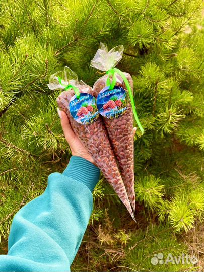 Кедровый орех отборный