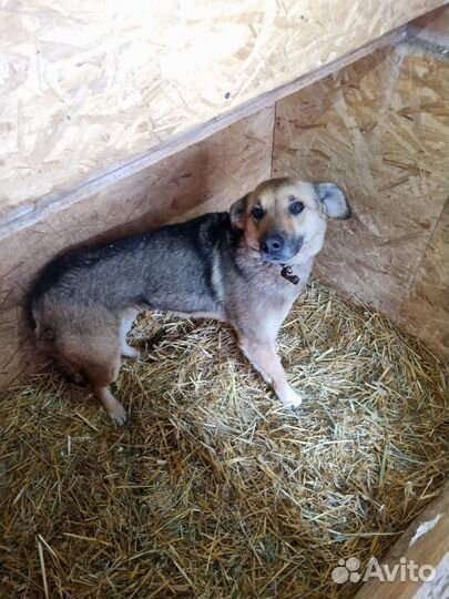 Лакки оставили умирать в холоде