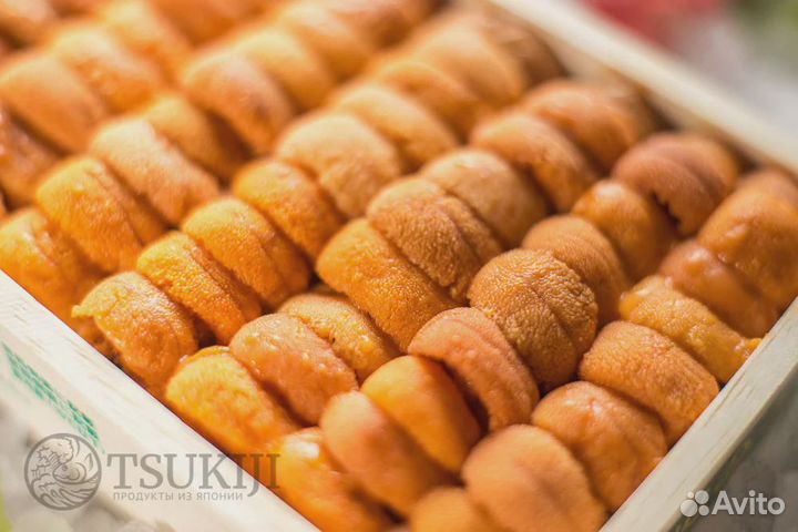 Икра морского ежа Уни на подложке