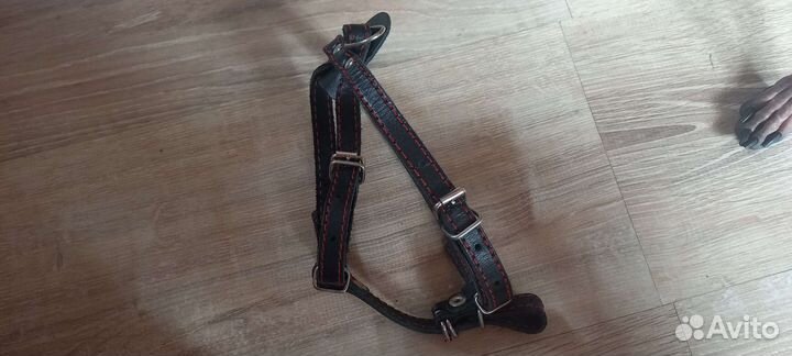 Шлейка для средней собаки