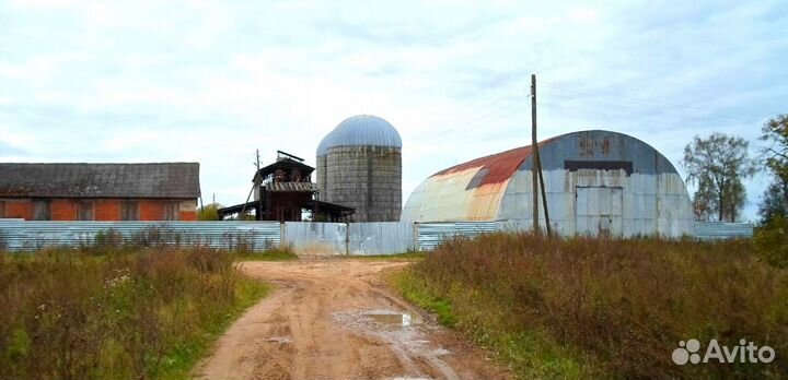 Животноводческая ферма