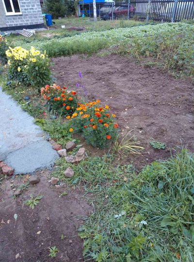 Дом 84 м² на участке 6 сот.