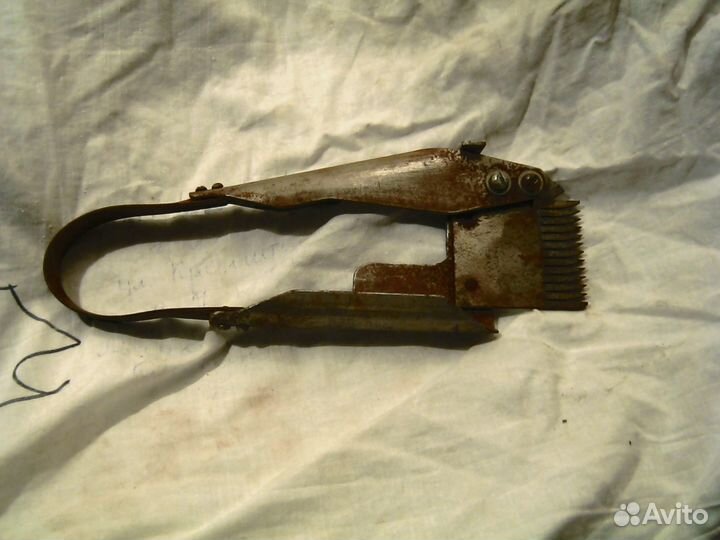 Ножницы для стрижки овец