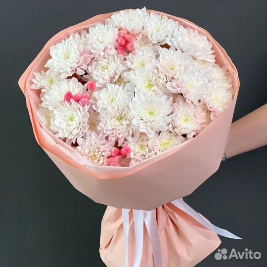 Хризантема 