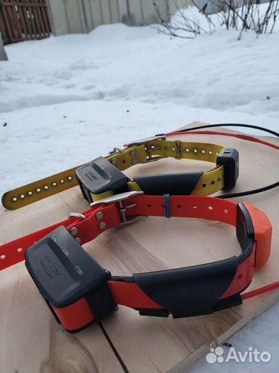 Навигатор garmin с ошейником бу