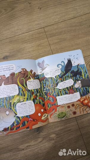 На поиски кита. Удивительное путешествие по морю