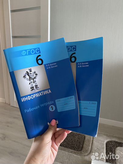 Рабочая тетрадь в 2-х частях информатика