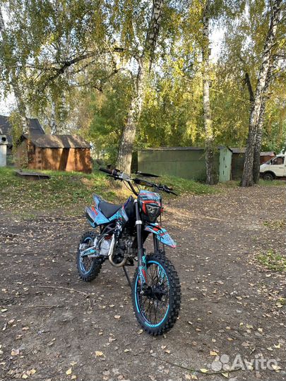 Regulmoto seven medalist 150e