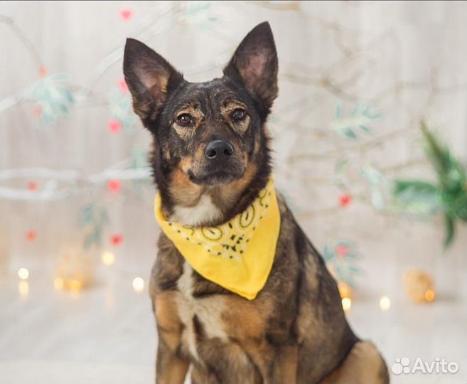 Василиса Прекрасная очень ждет свою семью