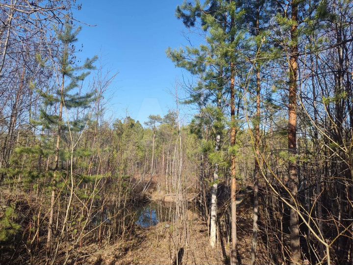 Участок 15 сот. (ИЖС)