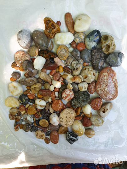 Морские камни