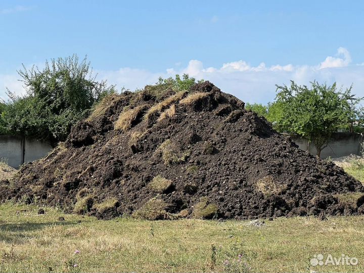 Земля чернозем