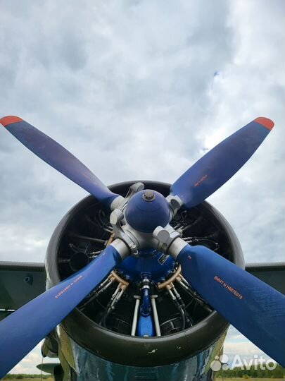 Авиаперевозки, доставка грузов на ан-2