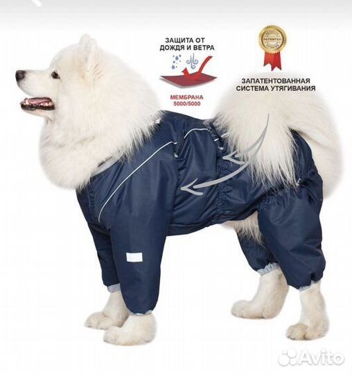 Одежда для собак